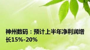 神州数码：预计上半年净利润增长15%-20%