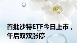 首批沙特ETF今日上市，午后双双涨停