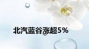 北汽蓝谷涨超5%