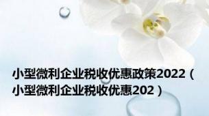 小型微利企业税收优惠政策2022（小型微利企业税收优惠202）