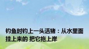 钓鱼时钓上一头活猪：从水里面挂上来的 把它拖上岸