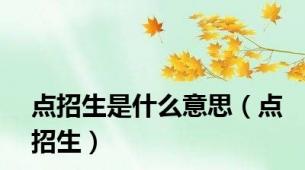 点招生是什么意思（点招生）