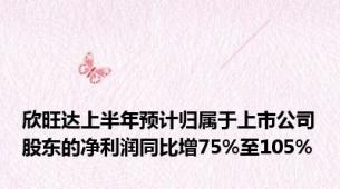 欣旺达上半年预计归属于上市公司股东的净利润同比增75%至105%