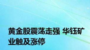 黄金股震荡走强 华钰矿业触及涨停