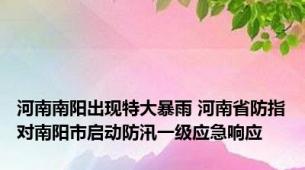 河南南阳出现特大暴雨 河南省防指对南阳市启动防汛一级应急响应