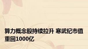 算力概念股持续拉升 寒武纪市值重回1000亿