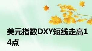 美元指数DXY短线走高14点