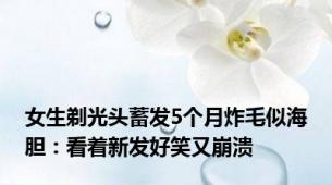 女生剃光头蓄发5个月炸毛似海胆：看着新发好笑又崩溃