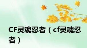 CF灵魂忍者（cf灵魂忍者）