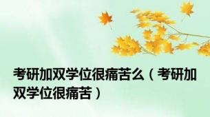 考研加双学位很痛苦么（考研加双学位很痛苦）