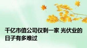 千亿市值公司仅剩一家 光伏业的日子有多难过