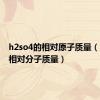 h2so4的相对原子质量（h2so4相对分子质量）