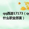 qq西游17173（qq西游什么职业厉害）