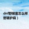 dnf野猪套怎么样（dnf野猪护肩）