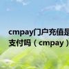 cmpay门户充值是微信支付吗（cmpay）