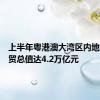 上半年粤港澳大湾区内地九市外贸总值达4.2万亿元