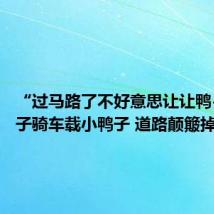 “过马路了不好意思让让鸭~”男子骑车载小鸭子 道路颠簸掉了一路