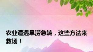 农业遭遇旱涝急转，这些方法来救场！