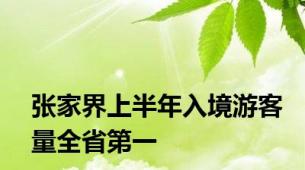 张家界上半年入境游客量全省第一