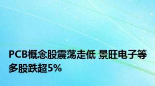 PCB概念股震荡走低 景旺电子等多股跌超5%