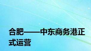 合肥——中东商务港正式运营