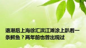 退潮后上海徐汇滨江滩涂上趴着一条鳄鱼？两年前也曾出现过