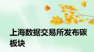 上海数据交易所发布碳板块