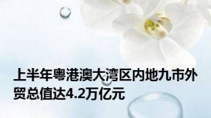 上半年粤港澳大湾区内地九市外贸总值达4.2万亿元