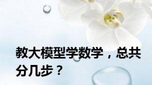 教大模型学数学，总共分几步？