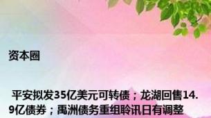 资本圈 | 平安拟发35亿美元可转债；龙湖回售14.9亿债券；禹洲债务重组聆讯日有调整