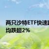 两只沙特ETF快速跳水，均跌超2%