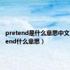 pretend是什么意思中文（pretend什么意思）