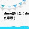 slime是什么（slime什么意思）