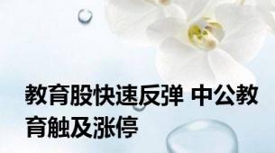 教育股快速反弹 中公教育触及涨停