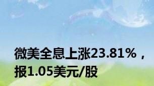 微美全息上涨23.81%，报1.05美元/股