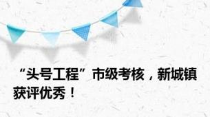 “头号工程”市级考核，新城镇获评优秀！