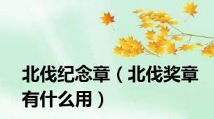 北伐纪念章（北伐奖章有什么用）