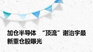 加仓半导体  “顶流”谢治宇最新重仓股曝光