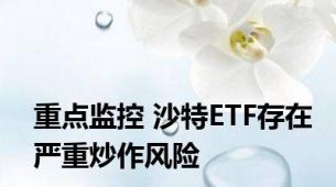 重点监控 沙特ETF存在严重炒作风险