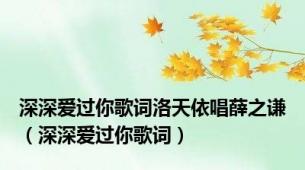 深深爱过你歌词洛天依唱薛之谦（深深爱过你歌词）