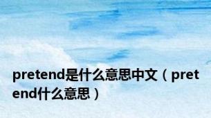 pretend是什么意思中文（pretend什么意思）