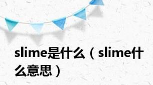 slime是什么（slime什么意思）