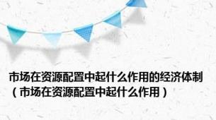 市场在资源配置中起什么作用的经济体制（市场在资源配置中起什么作用）