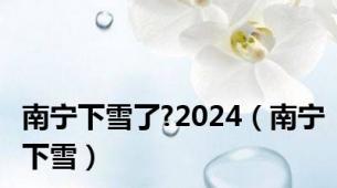 南宁下雪了?2024（南宁下雪）