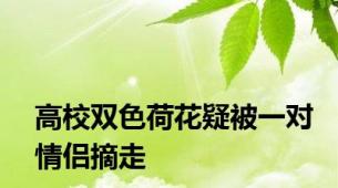 高校双色荷花疑被一对情侣摘走