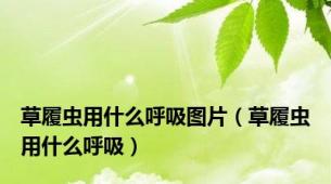 草履虫用什么呼吸图片（草履虫用什么呼吸）