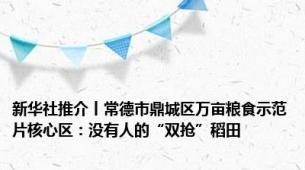 新华社推介丨常德市鼎城区万亩粮食示范片核心区：没有人的“双抢”稻田