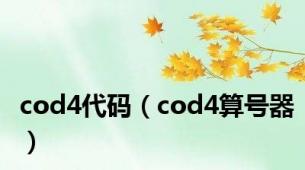 cod4代码（cod4算号器）