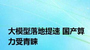 大模型落地提速 国产算力受青睐