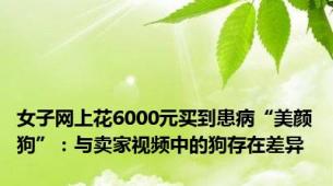 女子网上花6000元买到患病“美颜狗”：与卖家视频中的狗存在差异